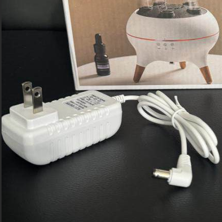 Difhouser Replacement Power Adapter