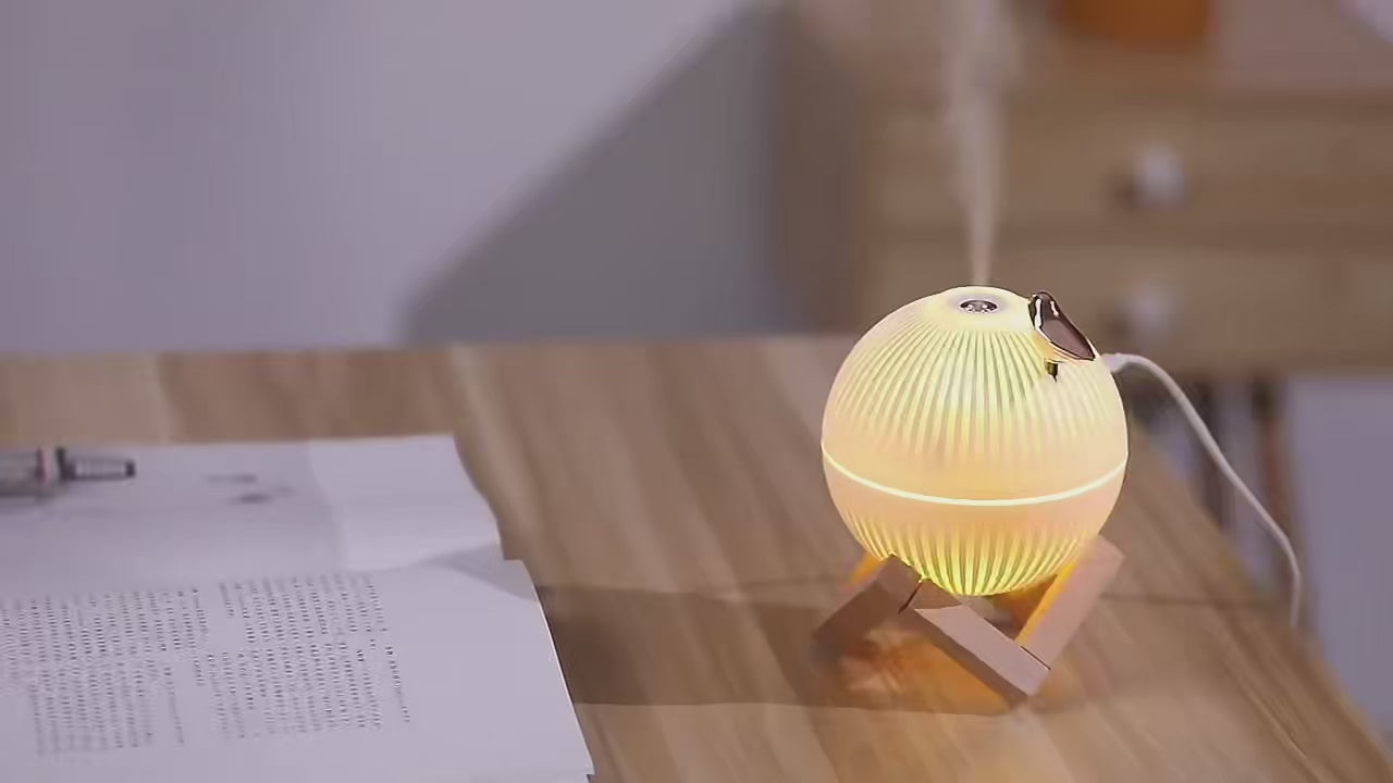 Difhouser Bird Globe